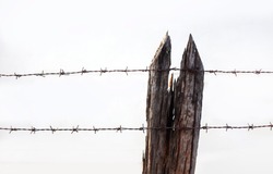 Wire Barebed Fence With Old Wood On White Background