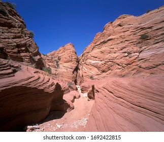 Wire Canyon, Paria Canyon Vermilion Cliffs Wilderness, Utah, USA