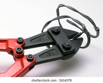 Wire Cutter With Barbed Wire