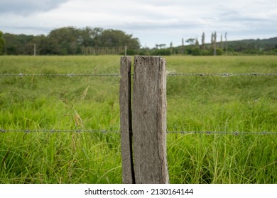 Wire Farm Fence With Wooden Pillar