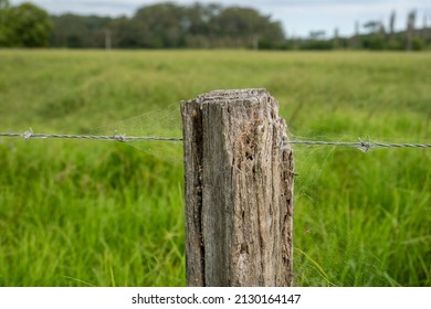 Wire Farm Fence With Wooden Pillar