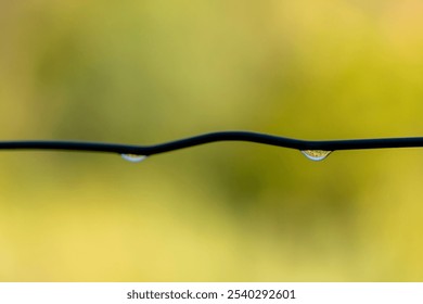 A wire fence with a droplet of water on it. The droplet is small and clear, and it is hanging off the wire. The image has a calm and peaceful mood, as the droplet of water is suspended in mid-air - Powered by Shutterstock