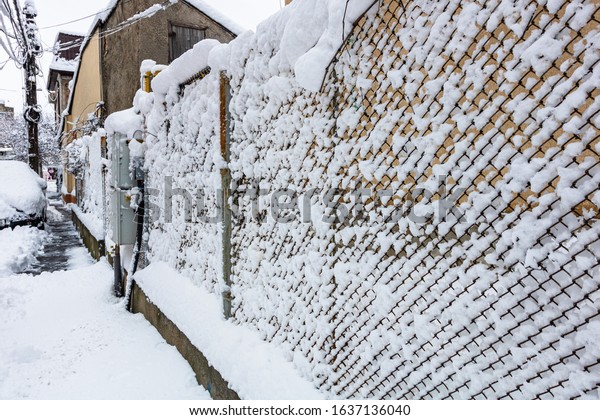 Wire fence metallic net with snow. Metal net in\
winter covered with snow.