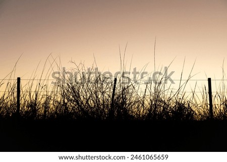 Similar – Image, Stock Photo Let the grass grow over it…