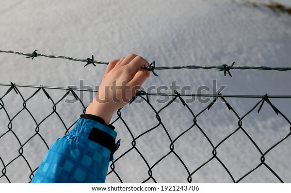 wire\
fence in winter rainy day. holding barbed wire with small hands.\
knitted gloves white fingers. awaiting release, fence repair in\
cattle farm, small boy, snowy, snow, winter,\
cold