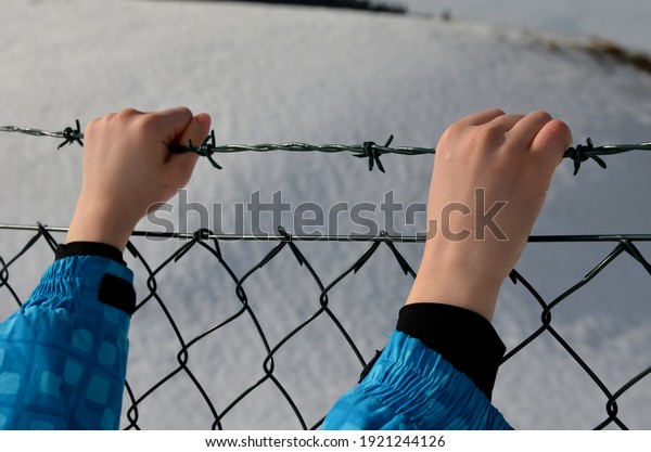 wire\
fence in winter rainy day. holding barbed wire with small hands.\
knitted gloves white fingers. awaiting release, fence repair in\
cattle farm, small boy, snowy, snow, winter,\
cold