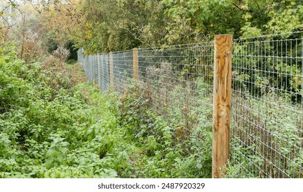 wire fence with wooden posts, woodland boundry - Powered by Shutterstock