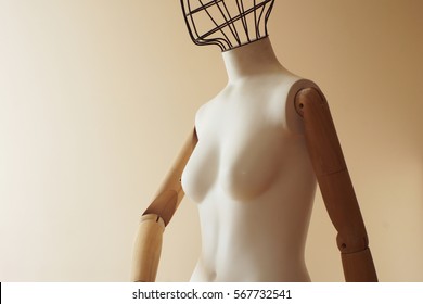 Wire Head Nude Female Mannequin Isolated