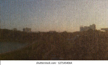 wire mesh and view