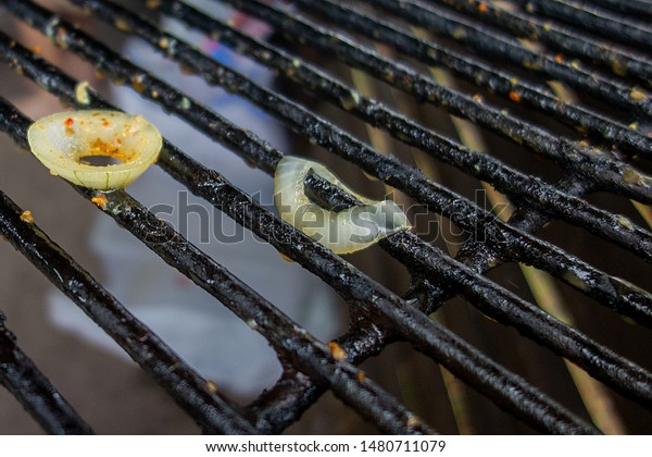Wire Rack On Fireplace After Picnic Stock Photo Edit Now 1480711079