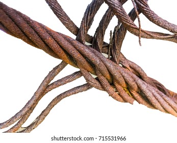 Wire Rope Rust Cut Into White Background.