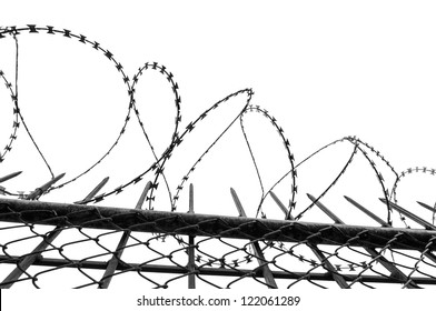 Wired fence with rolled barbed wires on white background.