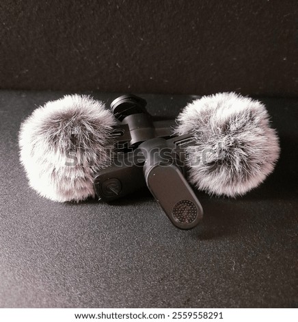 Wireless mini microphone with noice concellation