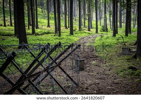 Wires. Second World War bunkers near Cesky Krumlov. Czech Republic. 