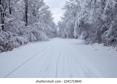 Wisconsin snow covered road and forest in December, horizontal