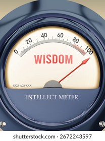 Wisdom and Intellect Meter that is hitting a full scale, showing a very high level of wisdom, overload of it, too much of it. Maximum value, off the charts. 