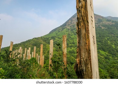 Wisdom Trail, Lantau Island, Hong Kong