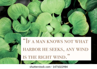 
Wise Quote By Ancient Roman Stoic Philosopher Seneca Against Nature Background