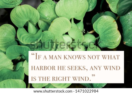 
Wise quote by ancient Roman stoic philosopher Seneca against nature background