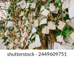 wish papers hung on the wish tree, The notes are wishing for better health ,healing and remembrance