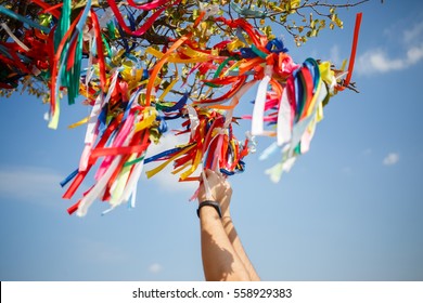 Wish Tree With Colored Ribbons