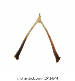 Wishbone