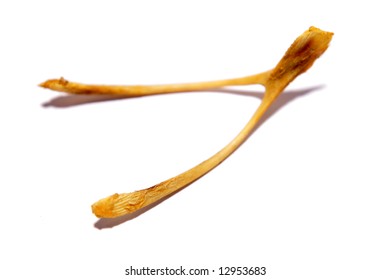 Wishbone Isolated On White Background