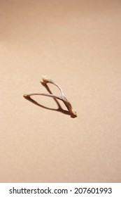 Wishbone Isolated Over Brown Background