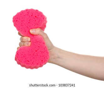 wring out sponge