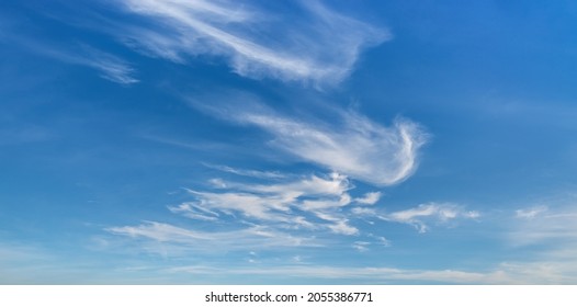 Wispy cirrus clouds high in the blue sky. Uncinus and fibratus subforms of cirrus clouds on a sunny day. Clouds classification in meteorology and weather forecast concepts. Sky only wide panorama.