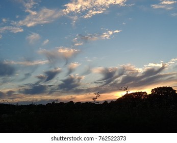 Wispy Cloud Sunset