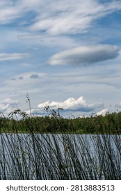 Wispy clouds drift over a calm lake, framed by tall grass reeds in the foreground.