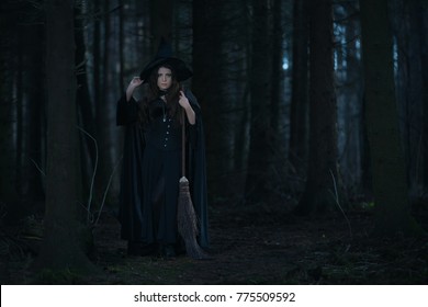 Young Witch Night Moonlight Forest Stock Photo (Edit Now) 320854961