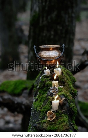 witch copper cauldron, pentacle amulet and burning candles on mossy trunk, natural dark forest background. Practical magic, witchcraft, esoteric spiritual ritual. fairytale, mystery atmosphere
