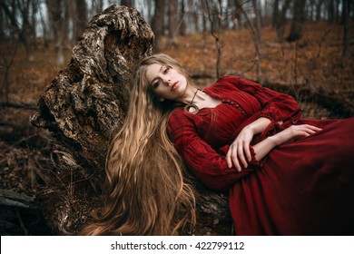 Witch Forest Stock Photo 422799112 