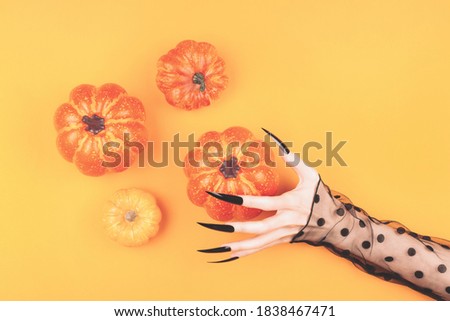 Witch hands with long black nails are holding a pumpkin on the orange background. Halloween concept. Flat-lay, top view.