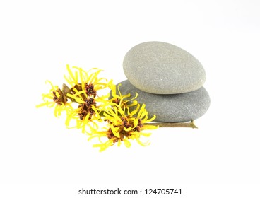 Witch Hazel And Zen Stones