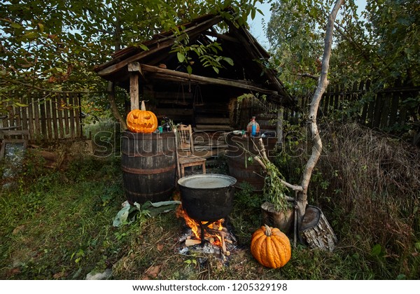 Witch Lair Boiling Cast Iron Pot Stock Photo Edit Now 1205329198