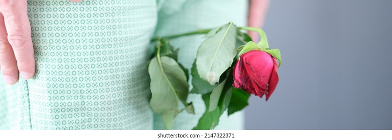 Withered Flower Between The Man Legs Closeup