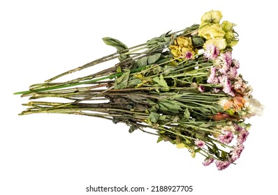 Withered flowers isolated on white background. Withered chrysanthemums. Withered eustoma. Bouquet of withered flowers.