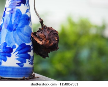 Withered Lotus Flower In A Vase On Table, Dead Flower With Vase And Blurred Background, Withered Lotus Flower, Dry Flower.