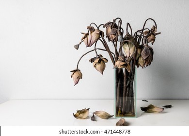 Withered lotus flowers in a glass vase on table