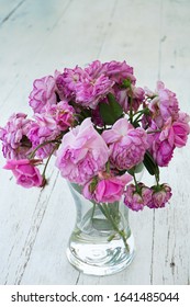 Withered Purple Flower In Clear Vase On White Wooden Table