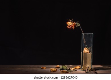 Withered Rose In Glass Vase, Dry Flower Petals And Leaves Falling On Table