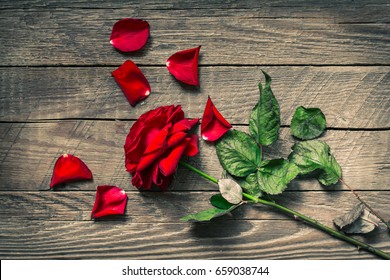 Withered rose on wooden table