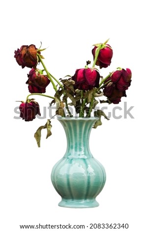 withered roses in a light green vase on a white background
