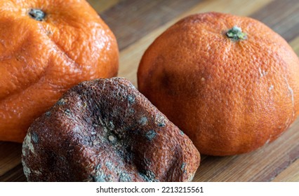 Withered Tangerines Close-up. The Texture Of The Dried Citrus Peel. A Composition Of Withered Fruits On A Wooden Background.