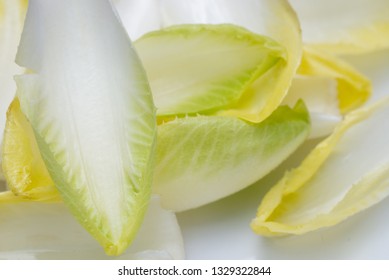 Witloof Belgian Endive Chicory Fresh Leaves Stock Photo (Edit Now ...