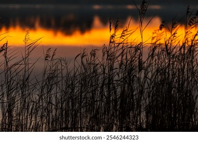 Witness the Serene Sunset Reflections That Gracefully Dance Over Tranquil Waters - Powered by Shutterstock