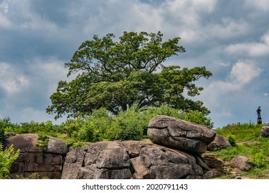 Witness Tree On Devils Den On A Hot And Stormy Summer Day